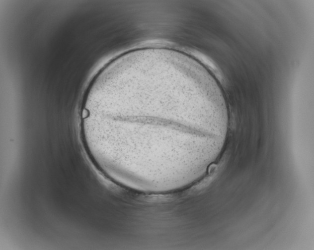 X0000111461430200908101045