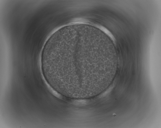 X0000111461431200908101045