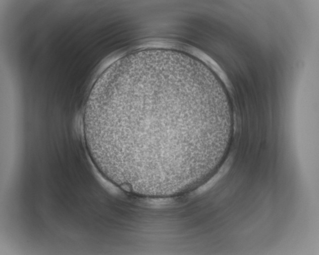 X0000111461433200908101045