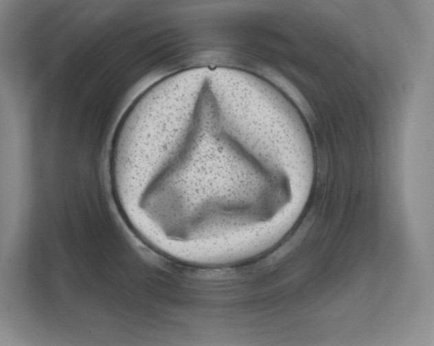 X0000111461434200908101046