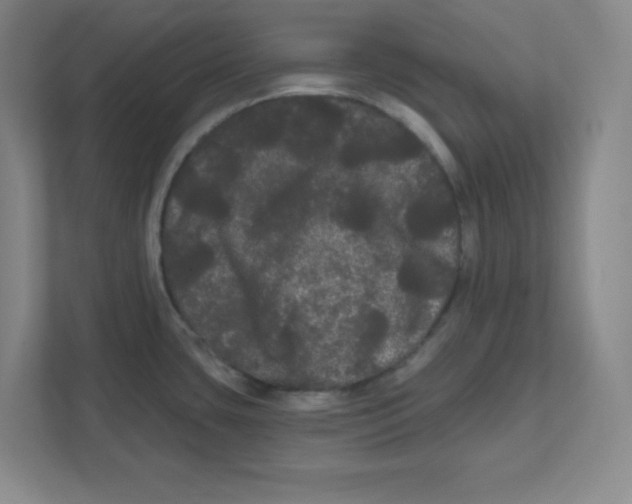 X0000111461435200908101046