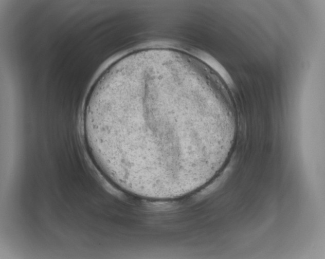 X0000111461436200908101046