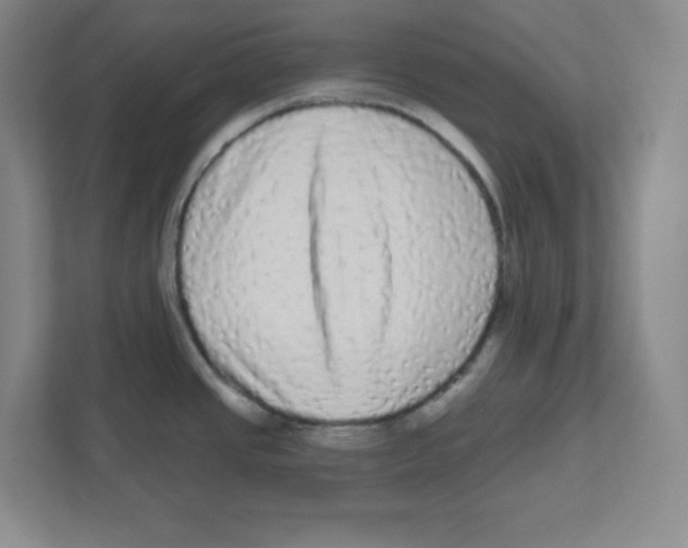 X0000111461437200908101046