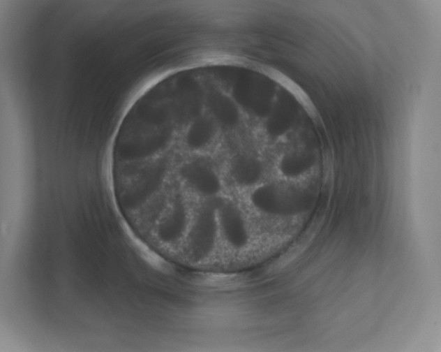 X0000111461439200908101046