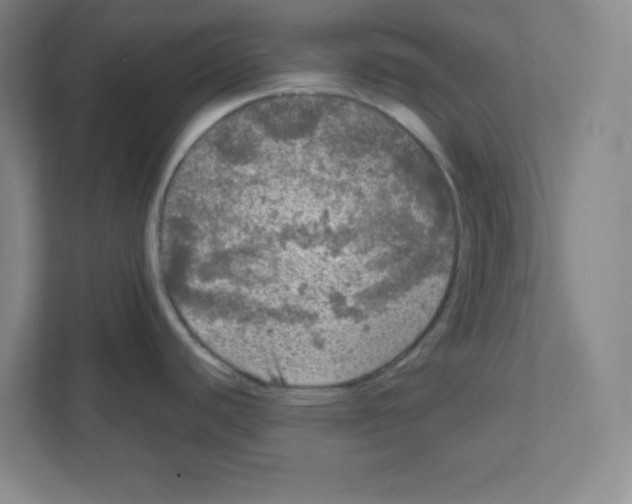 X0000111461440200908101046