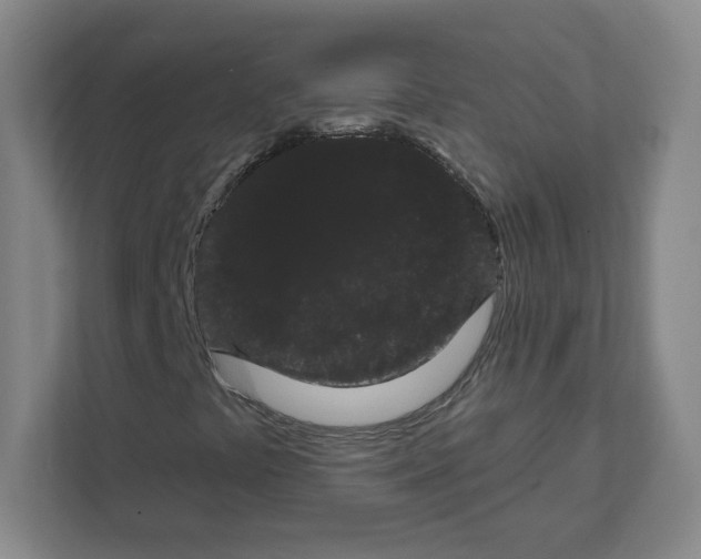 X0000111461441200908101045