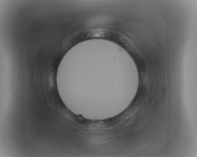 X0000111461442200908101045