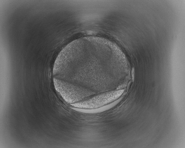 X0000111461443200908101045