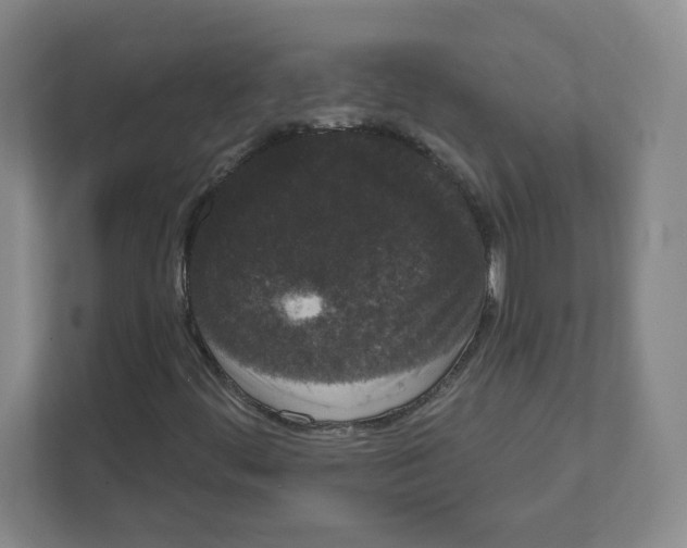 X0000111461444200908101045