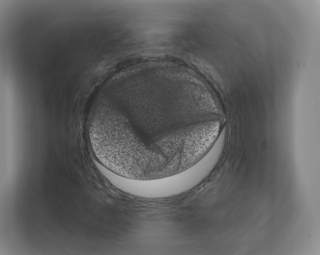X0000111461445200908101045