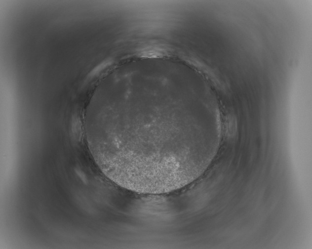 X0000111461446200908101045