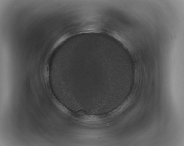 X0000111461450200908101045