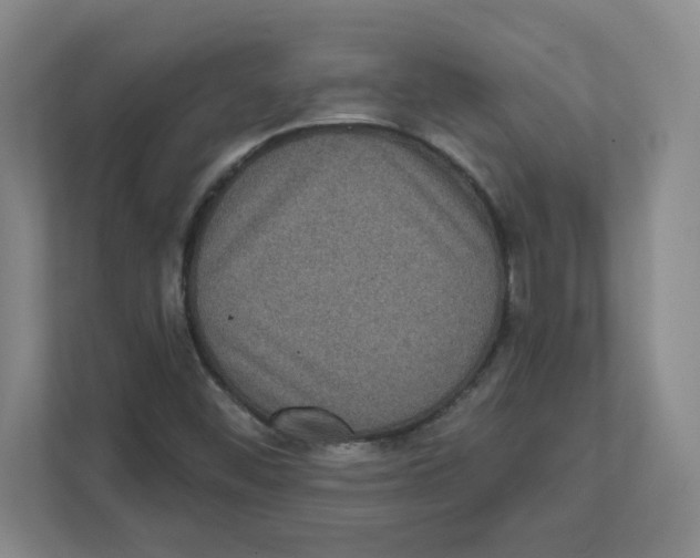 X0000111461452200908101045