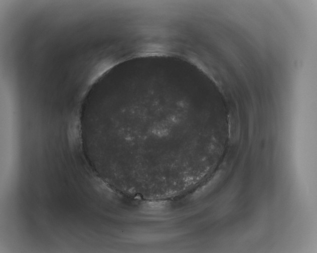 X0000111461453200908101045