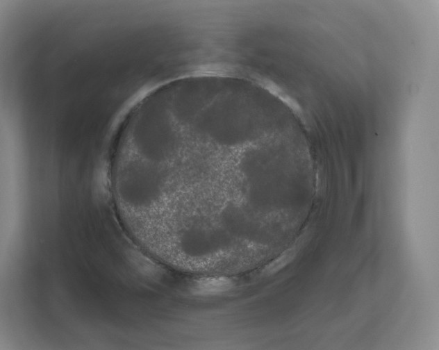 X0000111461454200908101045