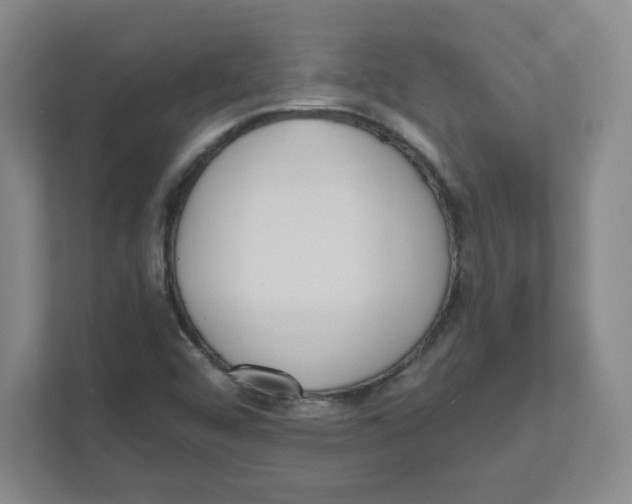 X0000111461456200908101045