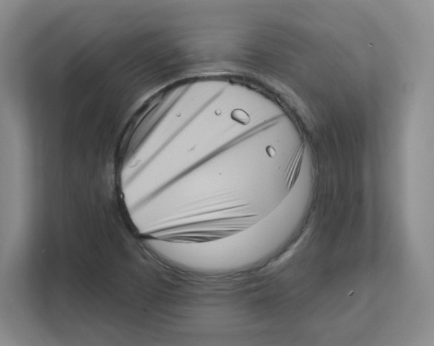 X0000111461457200908101045