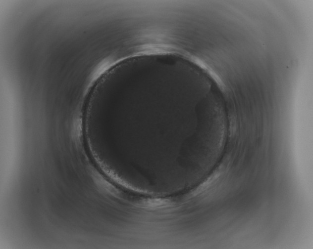 X0000111461459200908101045