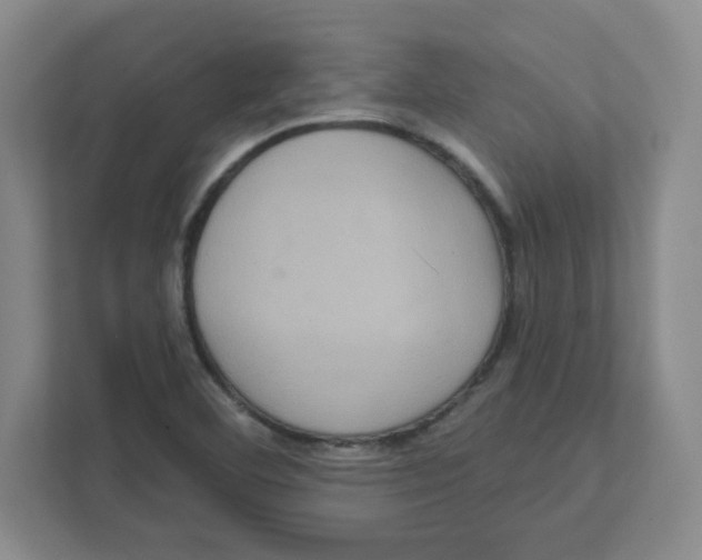X0000111461460200908101045