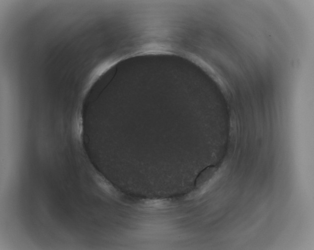 X0000111461461200908101045