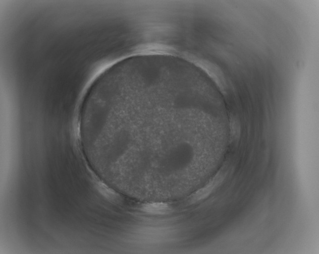 X0000111461462200908101045