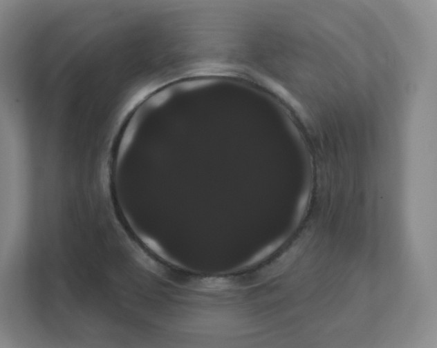 X0000111461463200908101045