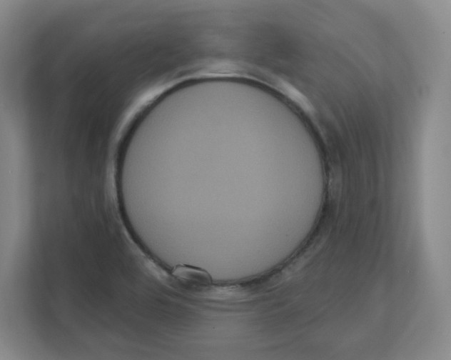 X0000111461464200908101045