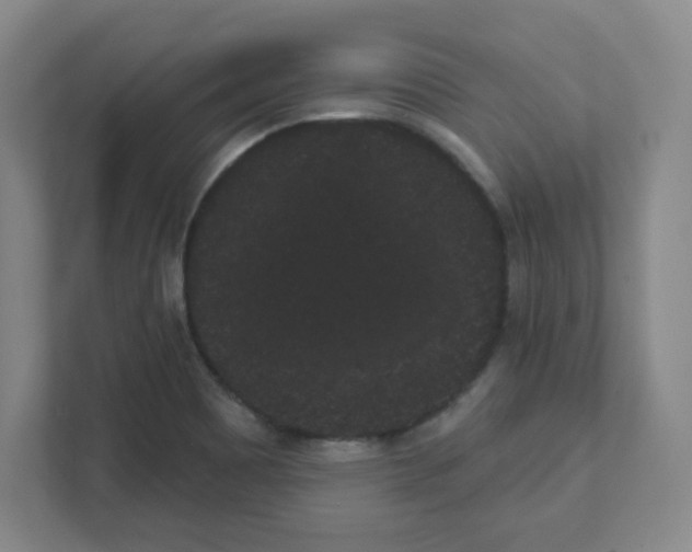 X0000111461465200908101045