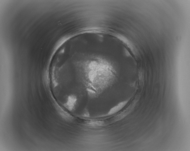 X0000111461466200908101045