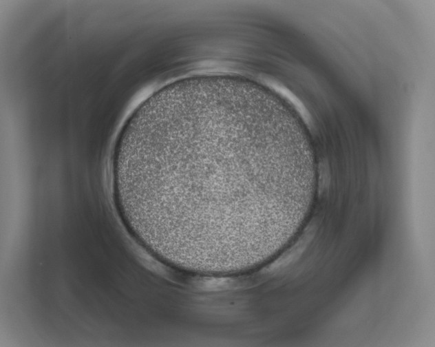 X0000111461467200908101045
