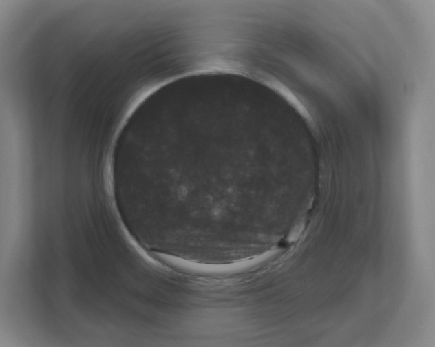 X0000111461468200908101045