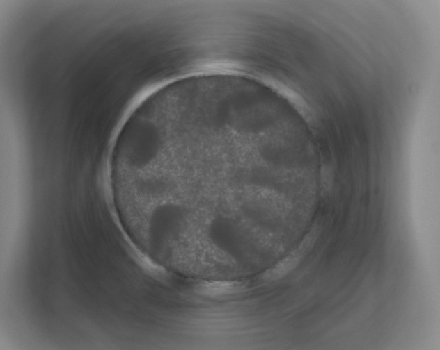 X0000111461470200908101045
