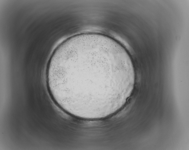 X0000111461471200908101045