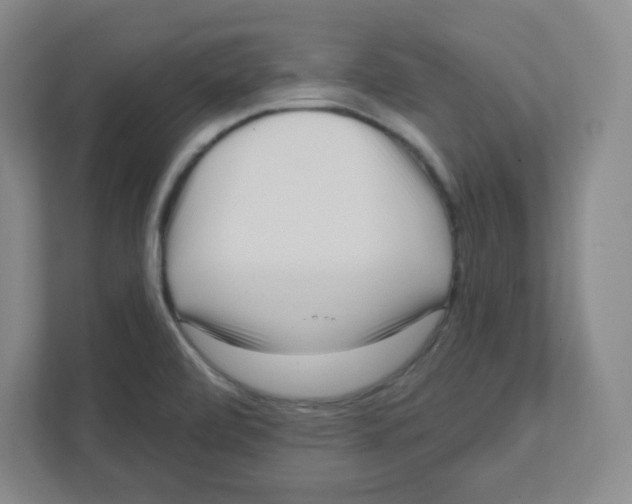 X0000111461472200908101045