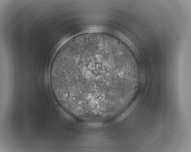X0000111461473200908101045