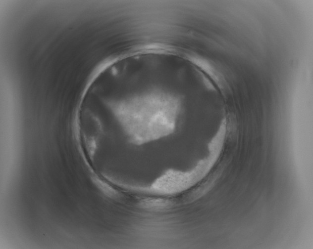 X0000111461474200908101045