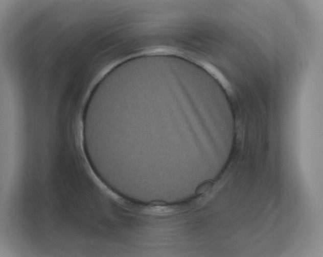 X0000111461476200908101045