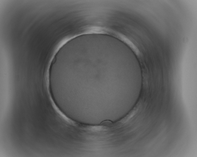 X0000111461479200908101044