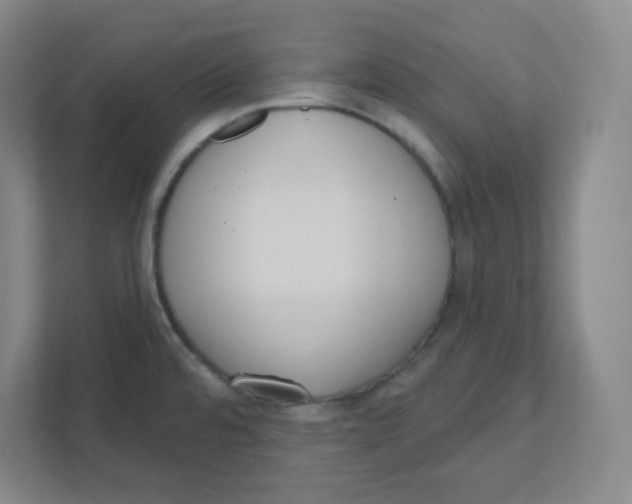 X0000111461480200908101044