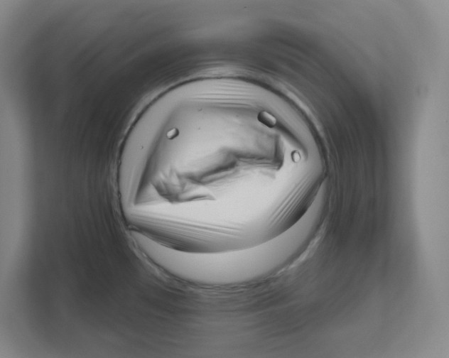 X0000111461481200908101044