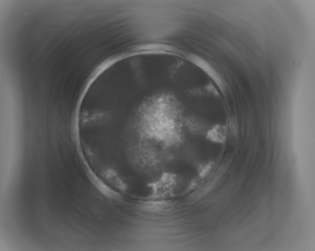 X0000111461482200908101044