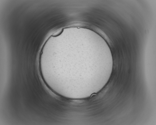 X0000111461483200908101044