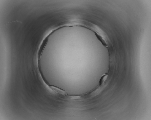 X0000111461484200908101044