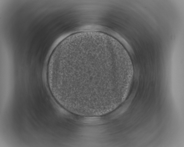X0000111461486200908101044