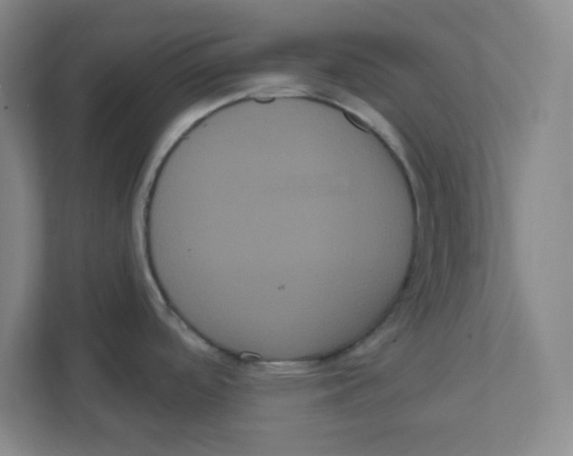 X0000111461488200908101044