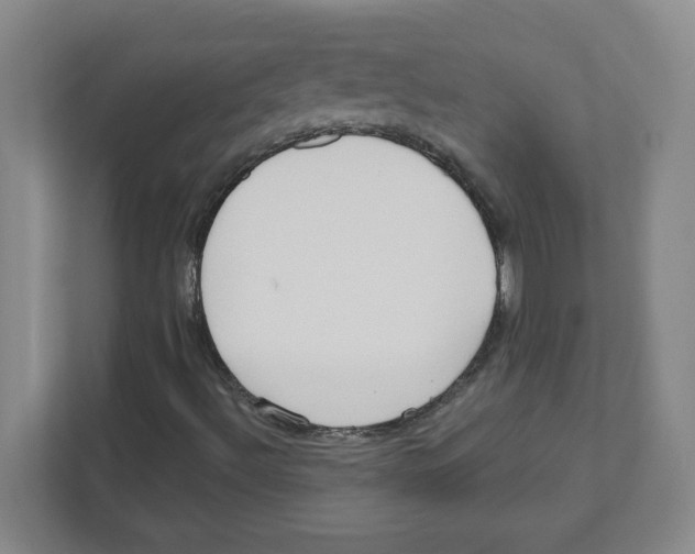 X0000111461492200908101044