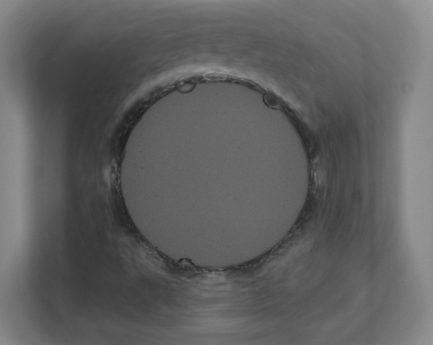 X0000111461495200908101044