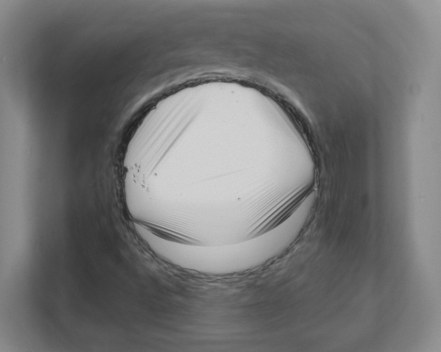 X0000111461496200908101044