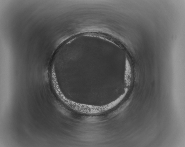 X0000111461497200908101044