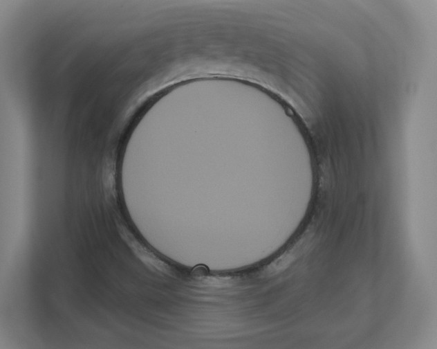 X0000111461499200908101044